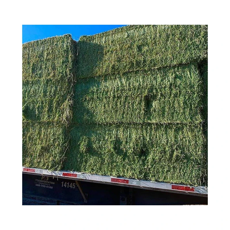 Complete Good Quality Animal Feeding Stuff Alfalfa, hay/alfalfa hay pellets Timothy Hay/ Alfafa Hay Animal Feeding A