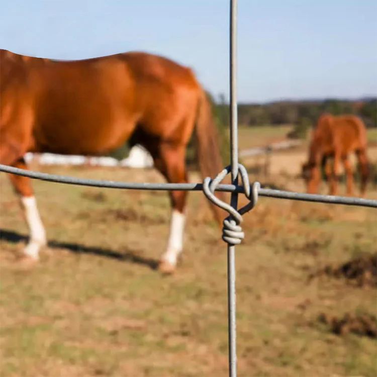 Animal Soft Fence Cattle Sheep Livestock Pasture Prairie Meadow Wire Mesh Forest Deer Fencing Roll Deer Field Farm Fence