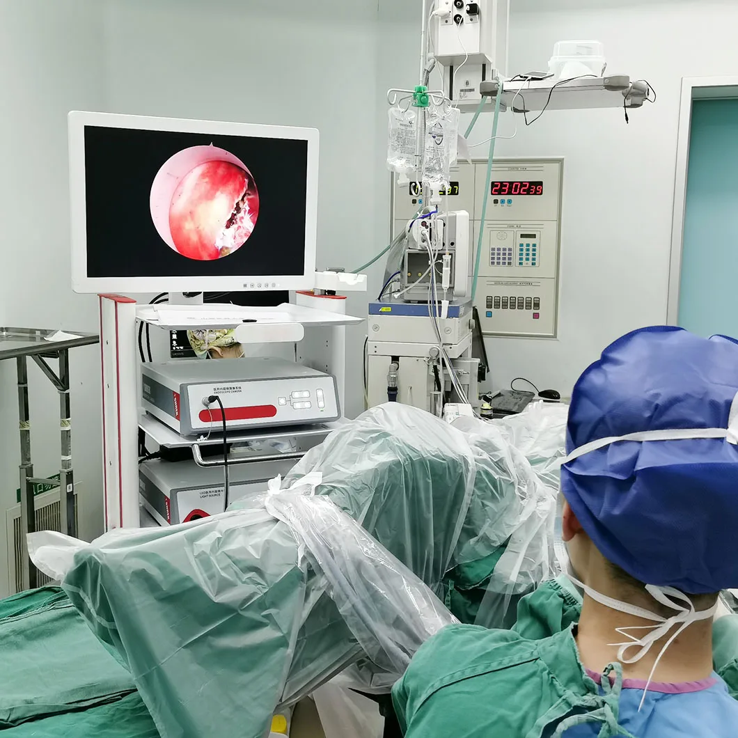 Highest Cost-effective Medical Endoscopic HD LCD Monitor 43 Inch Medical Grade Lcd Monitor