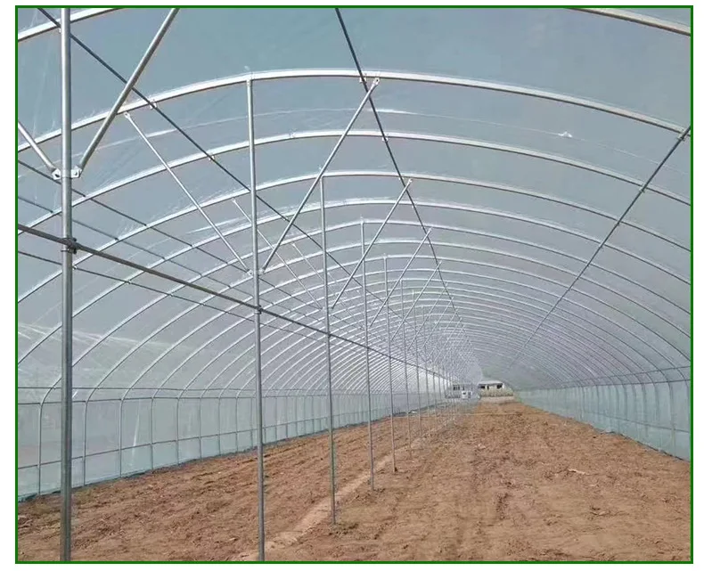 Manufacturer wholesale single arch shed internal and external thermal insulation strawberry greenhouse