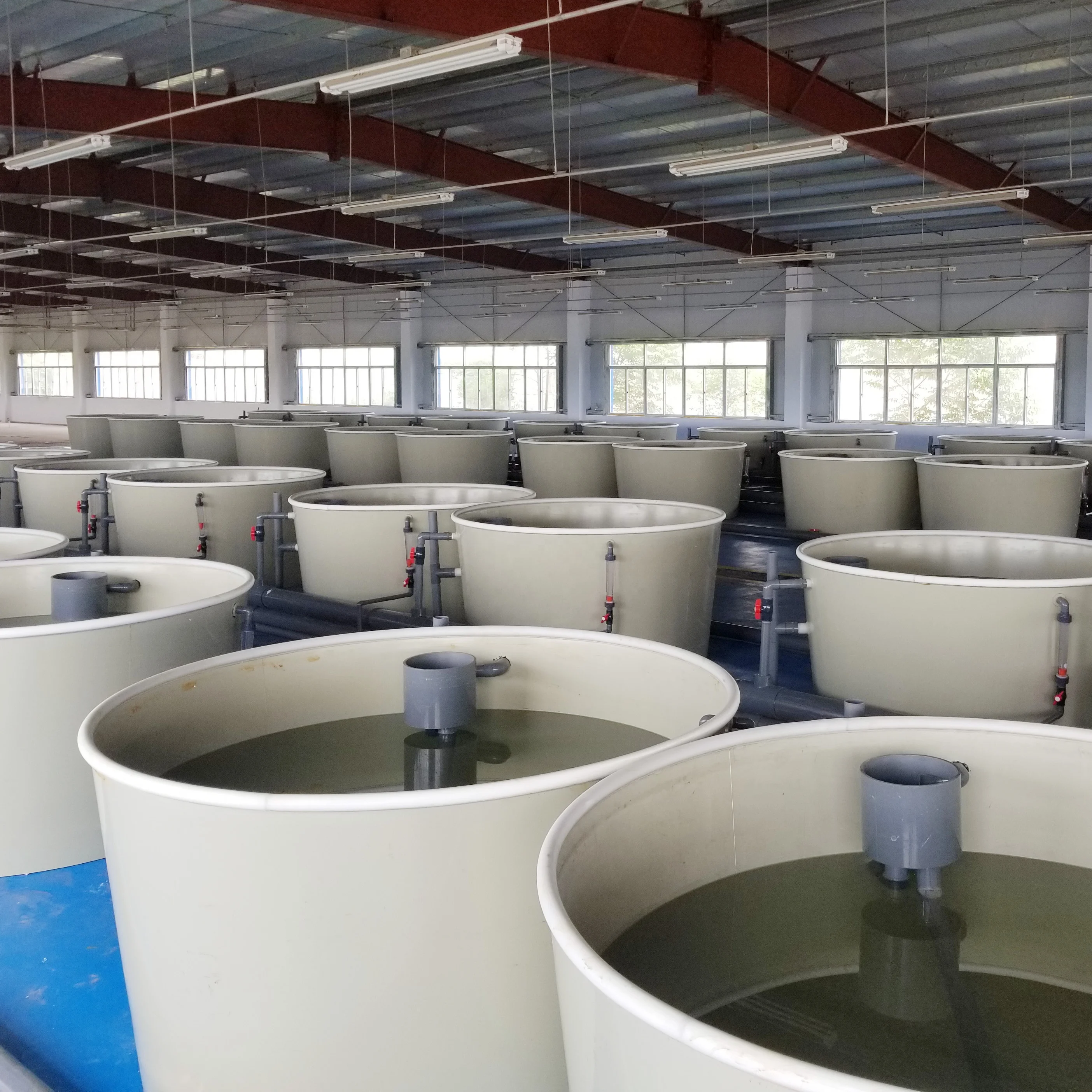 
large commercial fish tanks for fish farm 