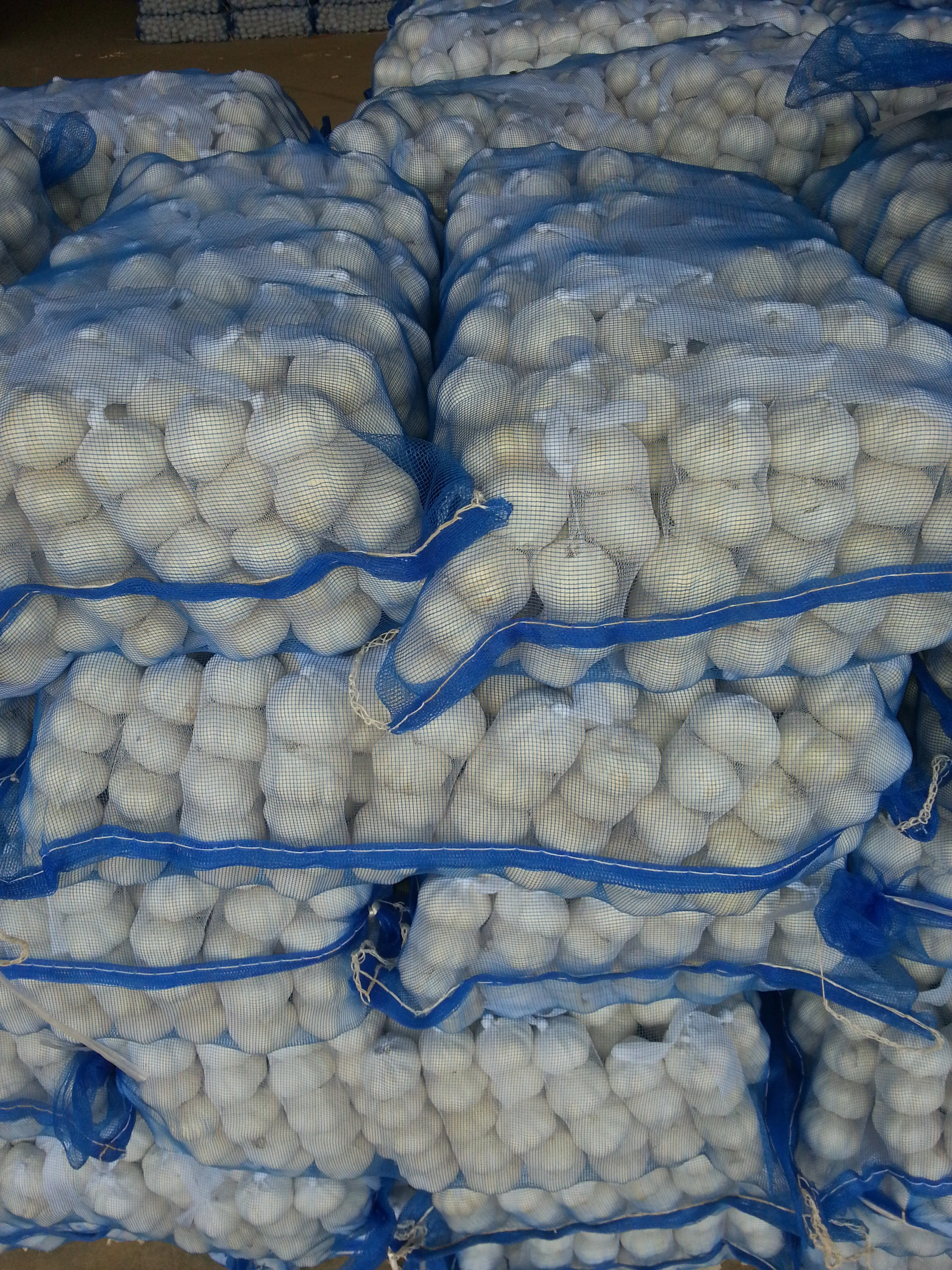 
Certificated HACCP HALAL exported fresh garlic white garlic 