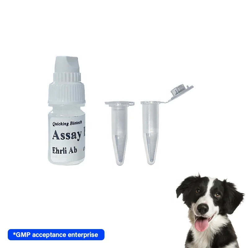 veterinary Ehrli Ab Canine Ehrlichia Antibody Rapid Test for veterinary disease/Veterinardiagnostik-Kit