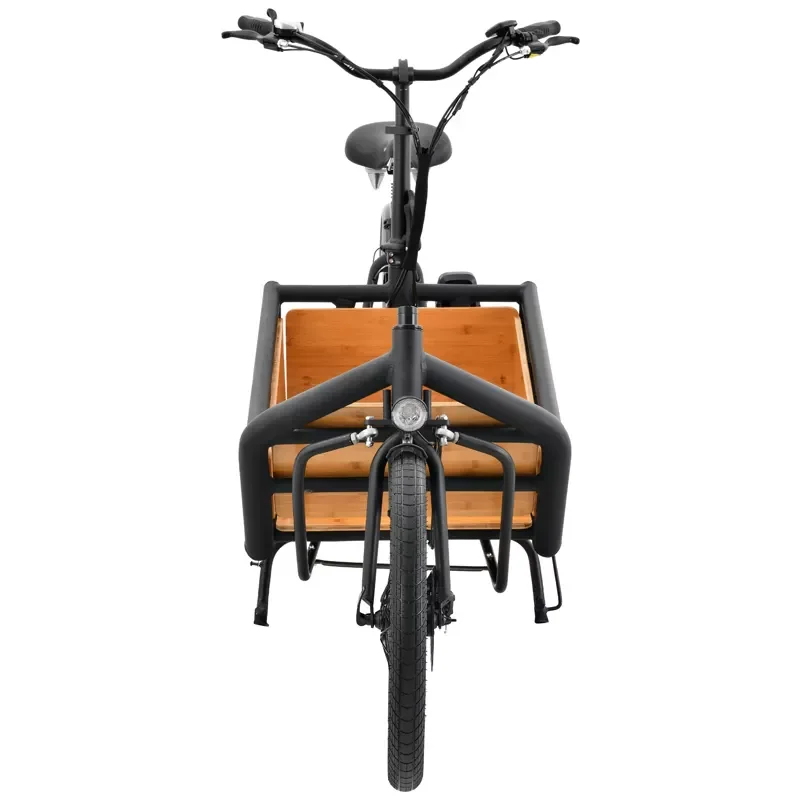 Front loaded wooden box 2 wheel cargo bike 250w 500w 750w hub motor 2 wheel thin tire delivery e bike