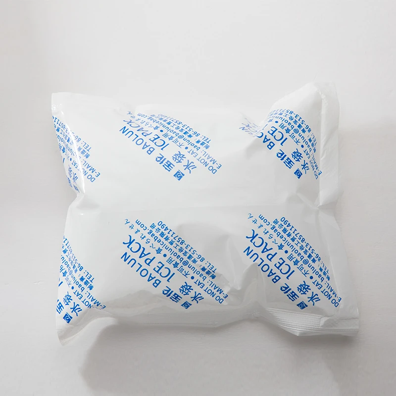 Hot Sale Reusable Seafood ice packs cold pack for meat and food shipping