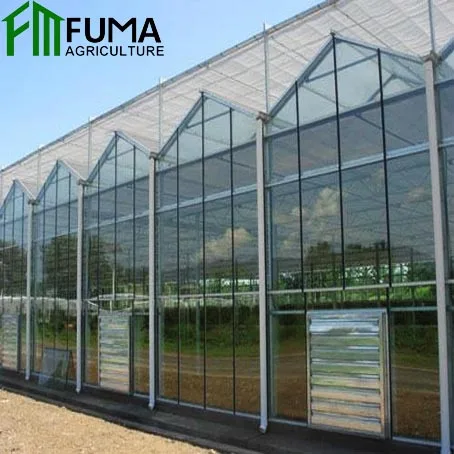 FUMA Low Cost Multi-span Agriculture Commercial Heating System Glass Greenhouse For Sale