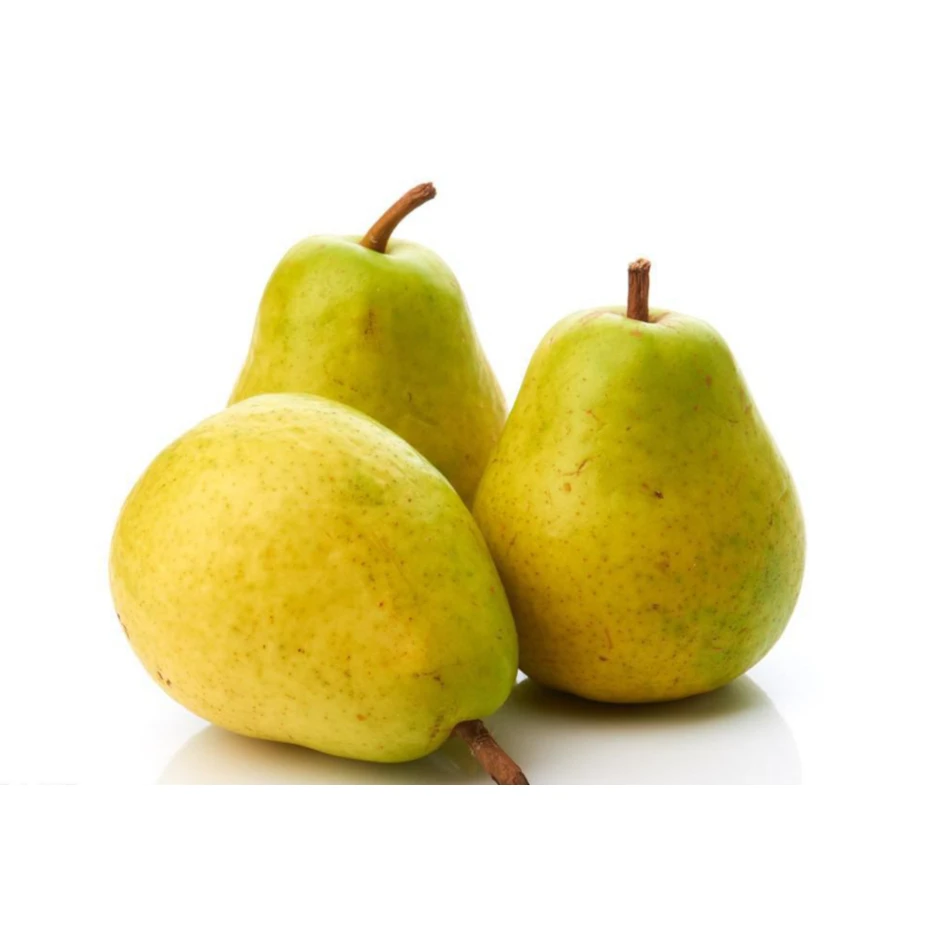 Promotion Hot Sale Natural Juicy Sweet Fresh Pear