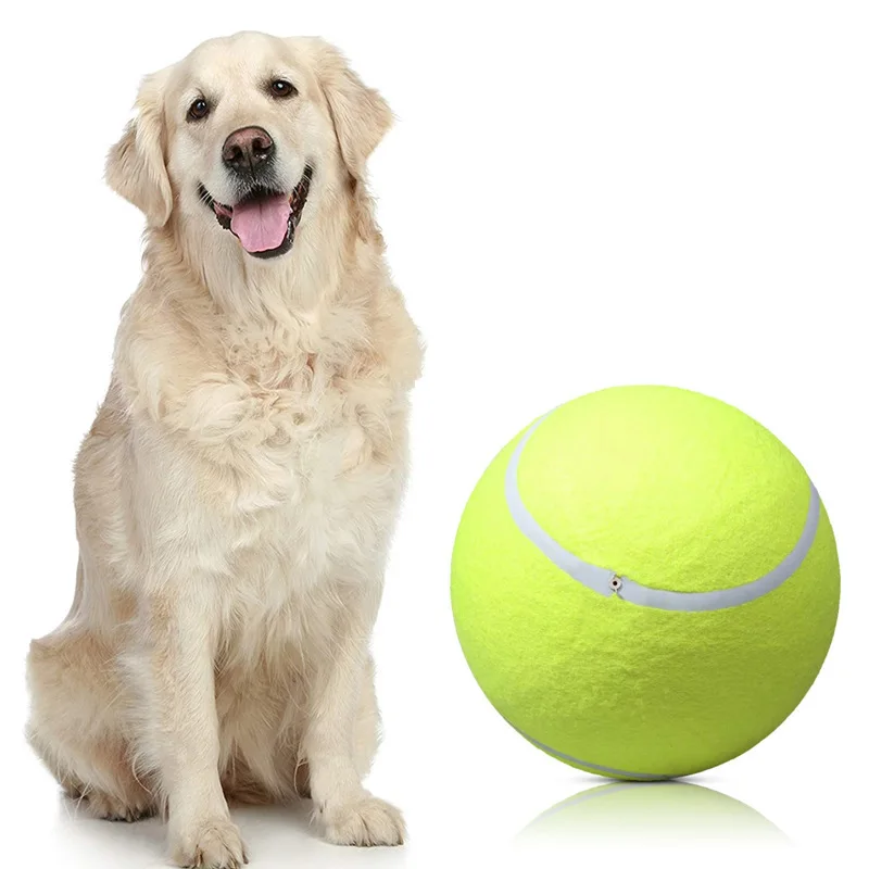 9.5 inch 24cm inflatable customized holiday event gifts name printed signature dog jumbo tennis ball