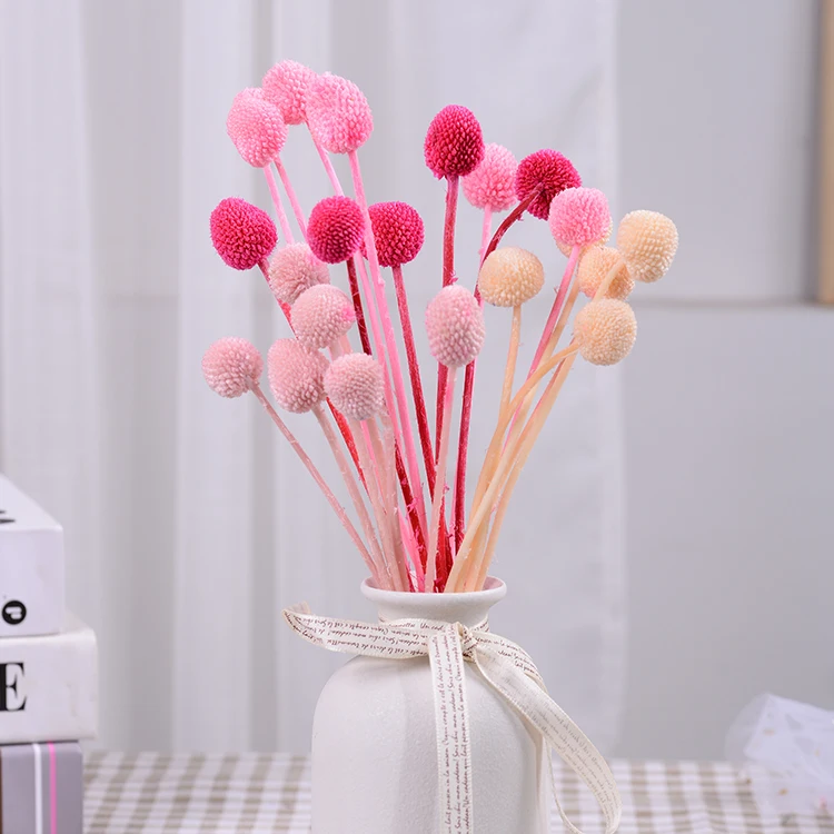 Top Selling Decorative Flowers Billy Balls Wreaths Christmas Indoor Decoration Dried Craspedia