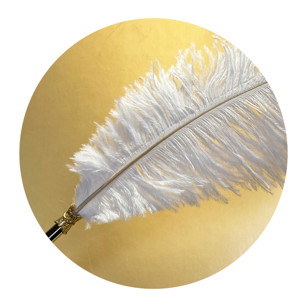 Natural quill antique vintage ostrich feather quill pen