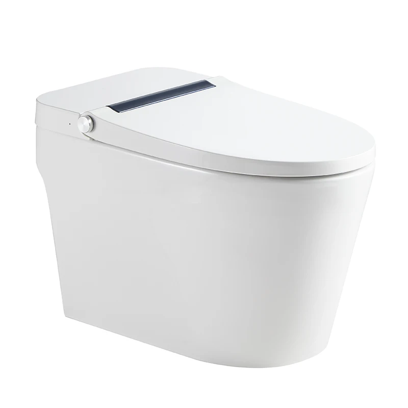 Smart Bidet Toilet Seat with AUTO Tankless Toilet with Remote Control Smart Lady care Wash Nozzle Water Closet smart Toilet