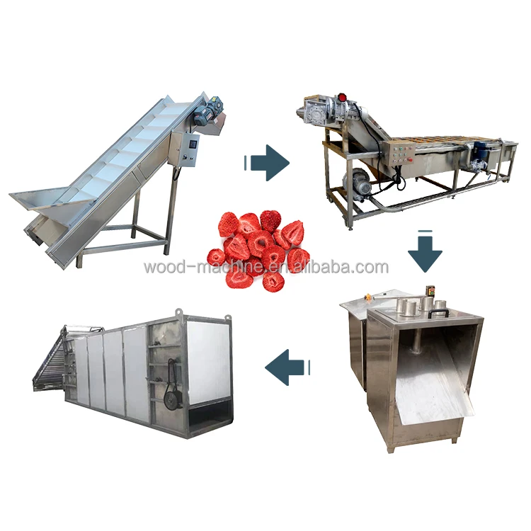 vegetable washing machine price fruit vegetables washing drying dehydrate machine fruit