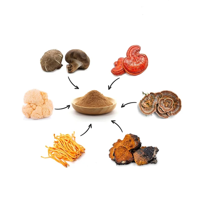 Private Label Water Soluble 8 in 1 Organic Mixed Mushrooms Blend Extract Powder