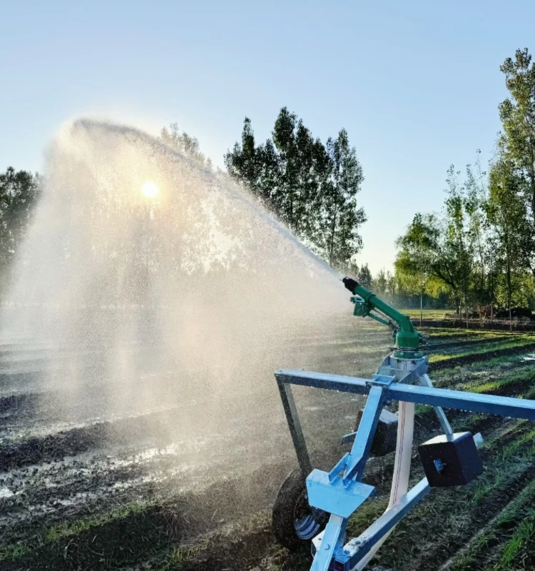 High quality heavy rain gun sprinkler/long rain gun sprinkler, used for irrigating fields and gardens