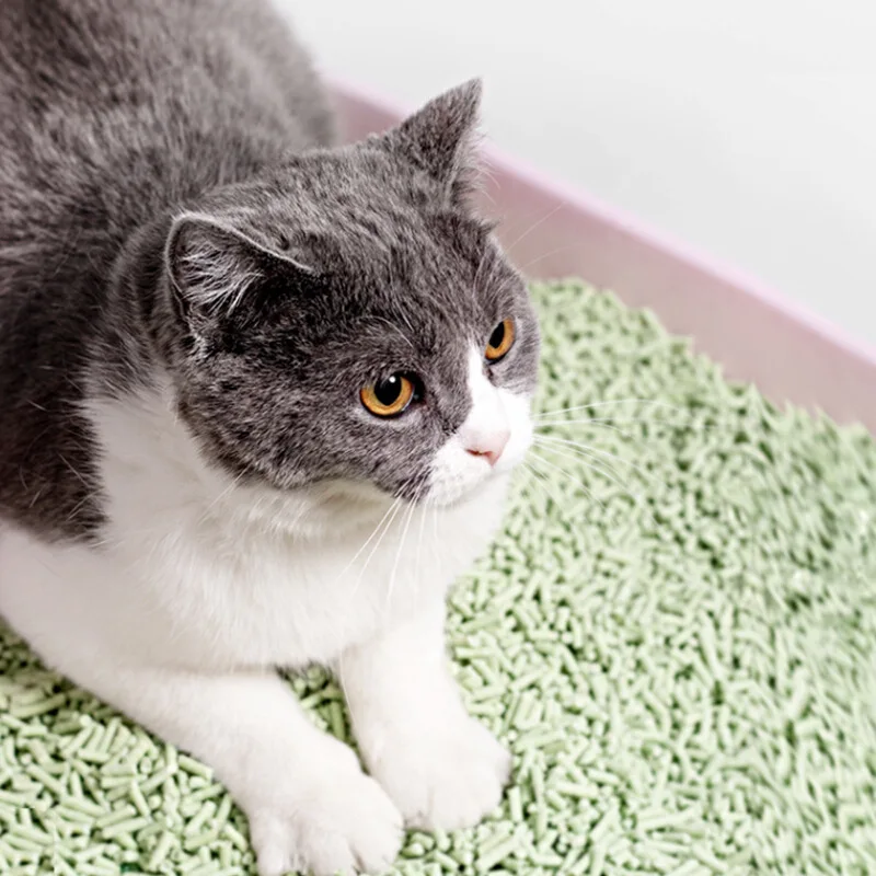 Прямые продажи с фабрики оптовая продажа высокое качество горячая распродажа частная марка кошачий наполнитель песок