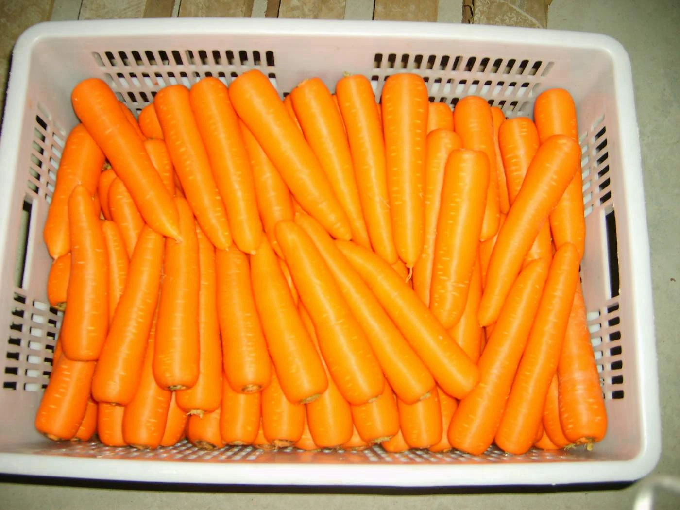 Organic Fresh Carrots From China Packed in Carton Export Wholesale Price High Quality Bulk