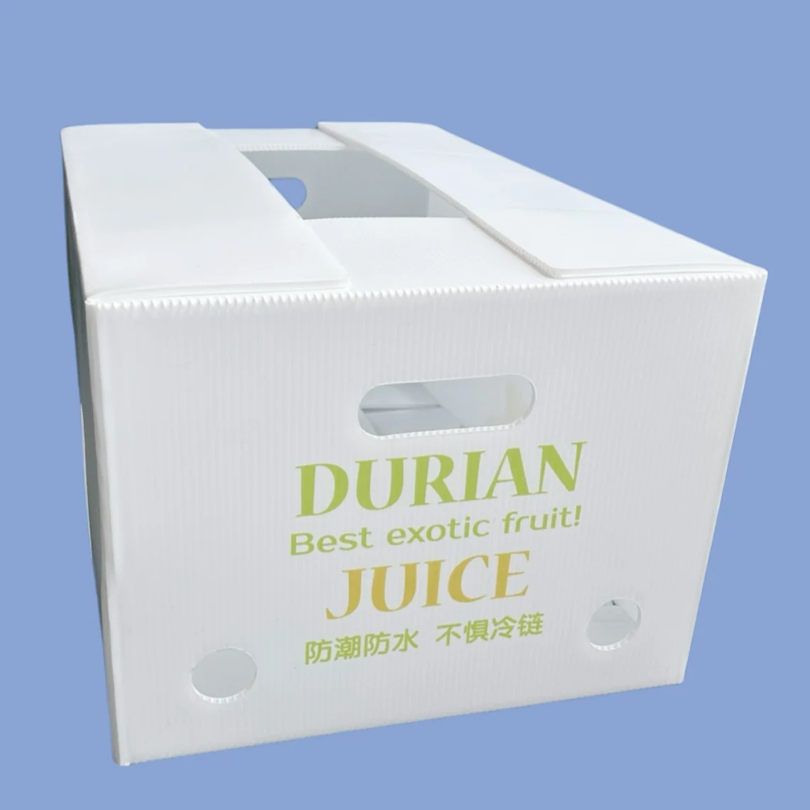 Wholesale Custom Foldable Plastic Corrugated Fresh Printed Folding Fruit Storage Packaging Packing PP Coroplast Box For Fruit