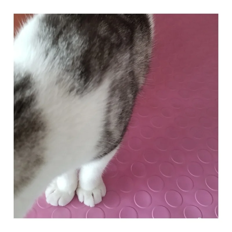 Durable Round Stud Rubber/Coin Diamond Pattern Anti Slip Rubber Floor Mat/Sheet/Pad for GYM, Kitchen, Pet, Wedding