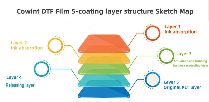 Cowint Dtf-film for Dtf-film with Donguan Suitable Meters Birthday Prints Pes Baysoon Bn 302li Manufacture Direkt Auf Dtf-film