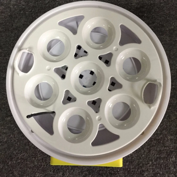 Outstanding Design 7 Eggs Incubator Small Size High Quality for Children Education