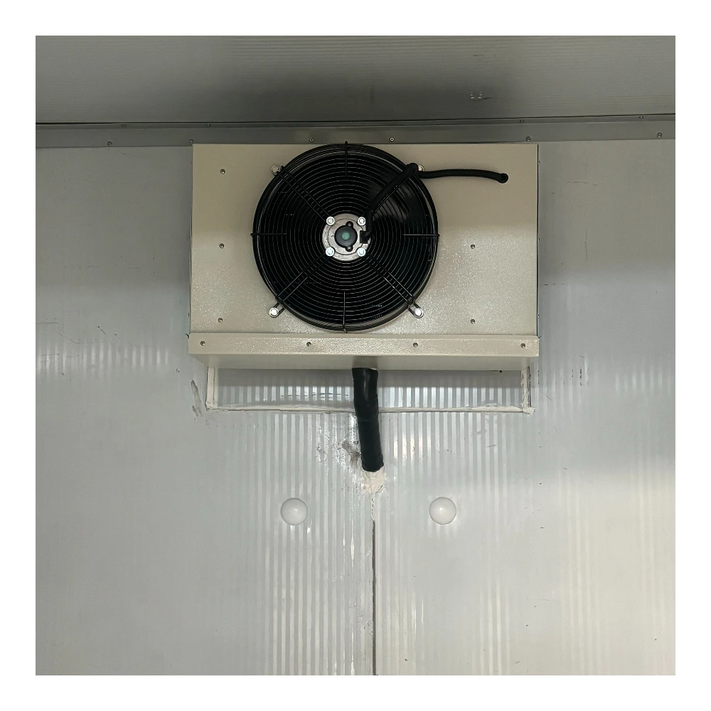 Hot Selling Cold Room Walk in Freezer Walk in Cooler Walk in Chiller Cold Storage for Meat