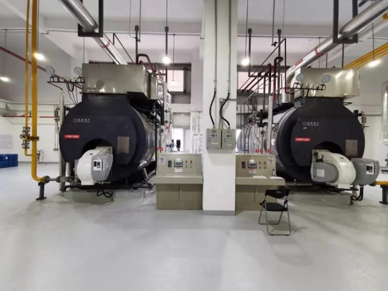 
Economic and reliable capacity 10 ton steam hot water condensing boiler 