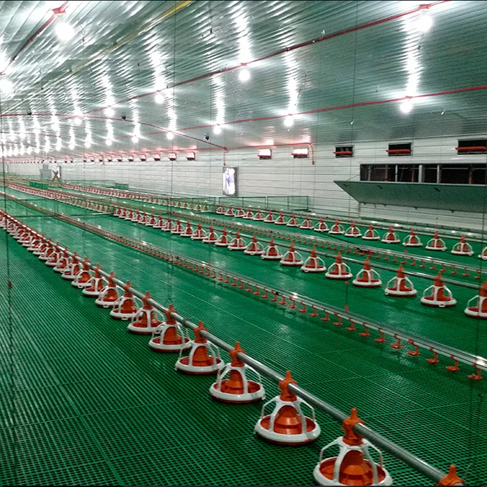 Cow Farming Shed Farm House Chicken Wood