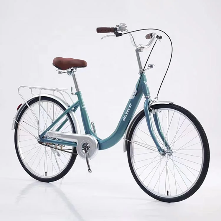 Carbon Steel Classic Frame Touring Bicycle Bicikli Bisikleta Old Style City Mountainbike