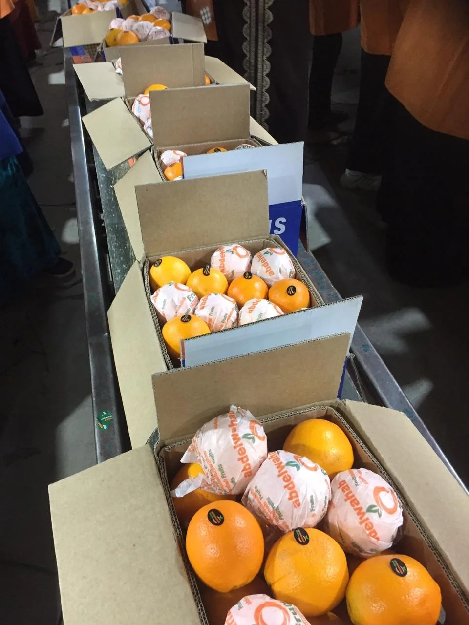 FRESH ORANGE(Navel oranges / Valencia oranges)