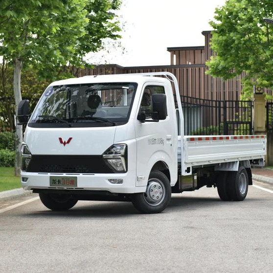 Wuling Long Truck Light Truck Made in China Low Price Export High Mileage Mini Truck