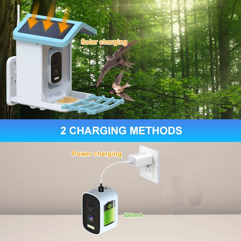 New Arrival Outdoor Solar Charging App Intelligent Bird Feeder 4MP 2.5K HD Camera AI Recognition Bird Species Feeder