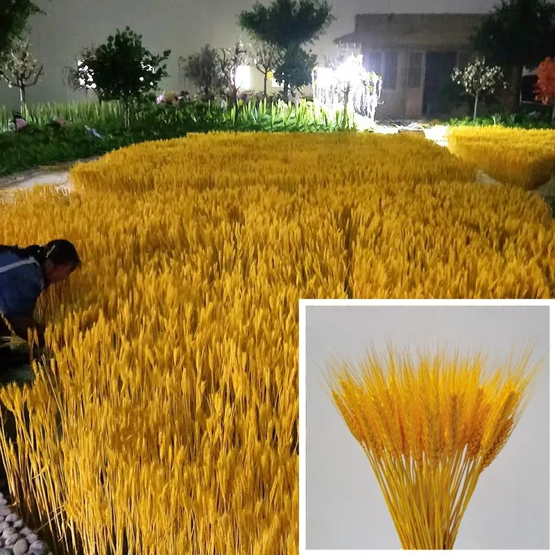 Wholesale Dried Wheat Sheaves wheat Stalks Natural Ear of Wheat Grain Flowers Dry Grass Bunch for Pampas grass Arrangements