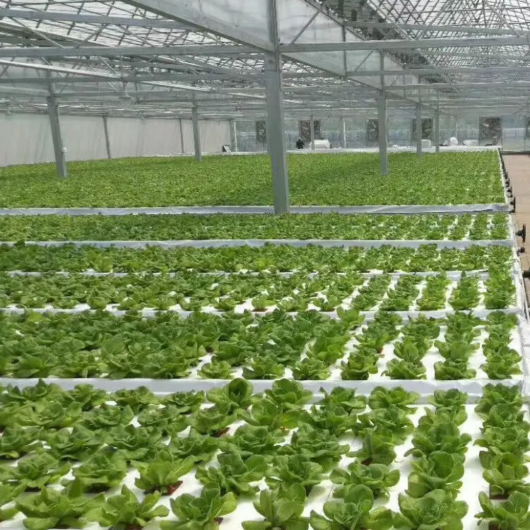 Dutch Barrel Drip Irrigation Planting Balcony Planting Soilless Equipment Tomato Strawberry Pvc Cultivation