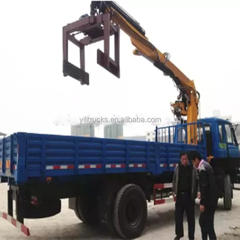 dump crane (3)