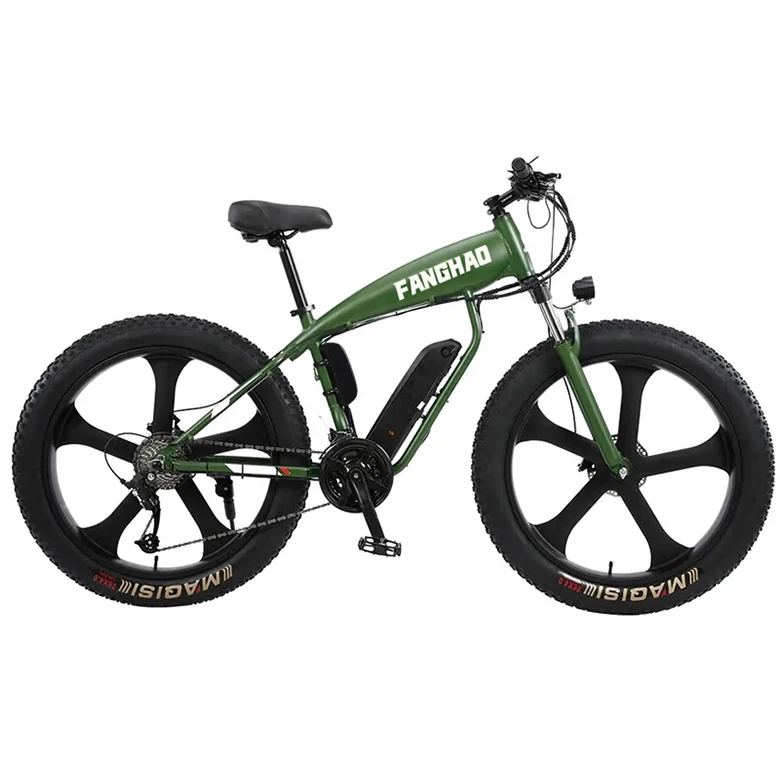 Hot Selling e bike 1000w electric bike 1000W fat bike electric Beach Fat Tire Electric Bicycle For Sale