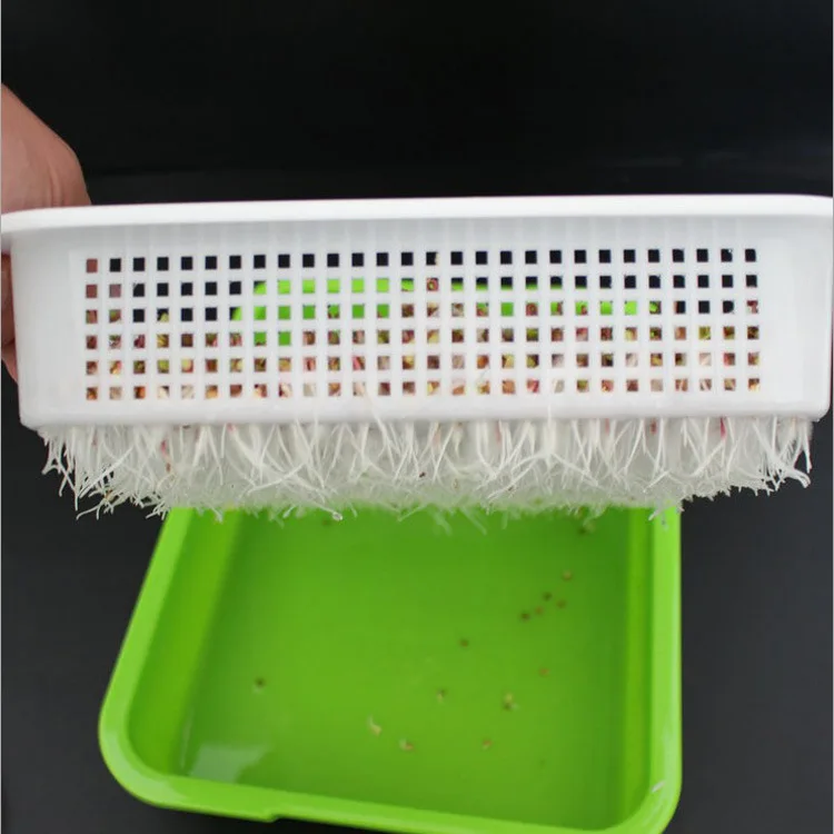 seed sprouter tray with  lid PP material molded plastic wheat been nursery trays