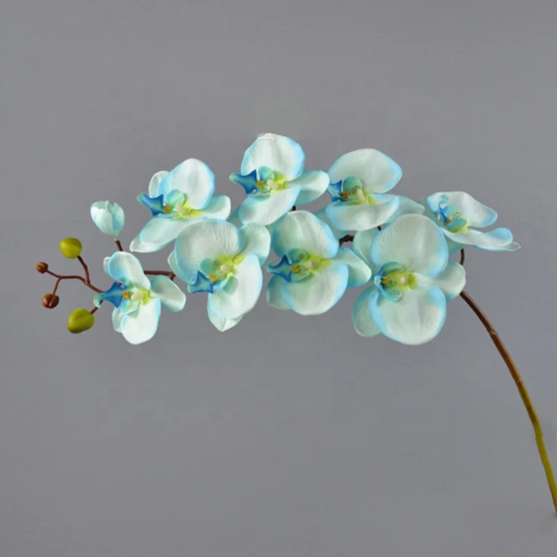 Real touch Environmentally Friendly Plastic phalaenopsis orchids live plant
