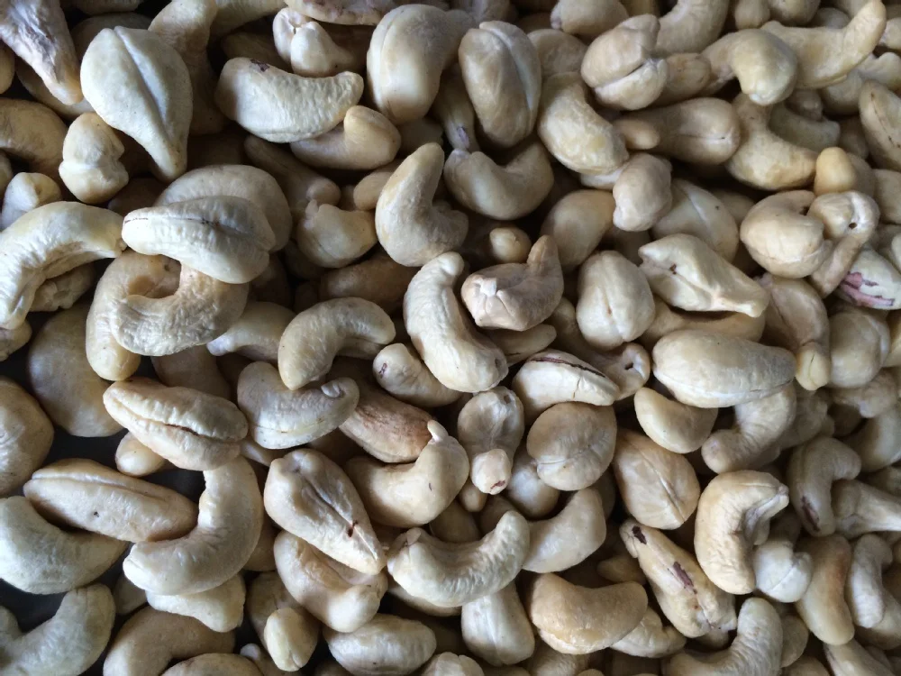 Export Cashew Nut Kernels Ww180, Ww220, Ww240, Ww320, Ww450 0 - origin Vietnam - Best Quality