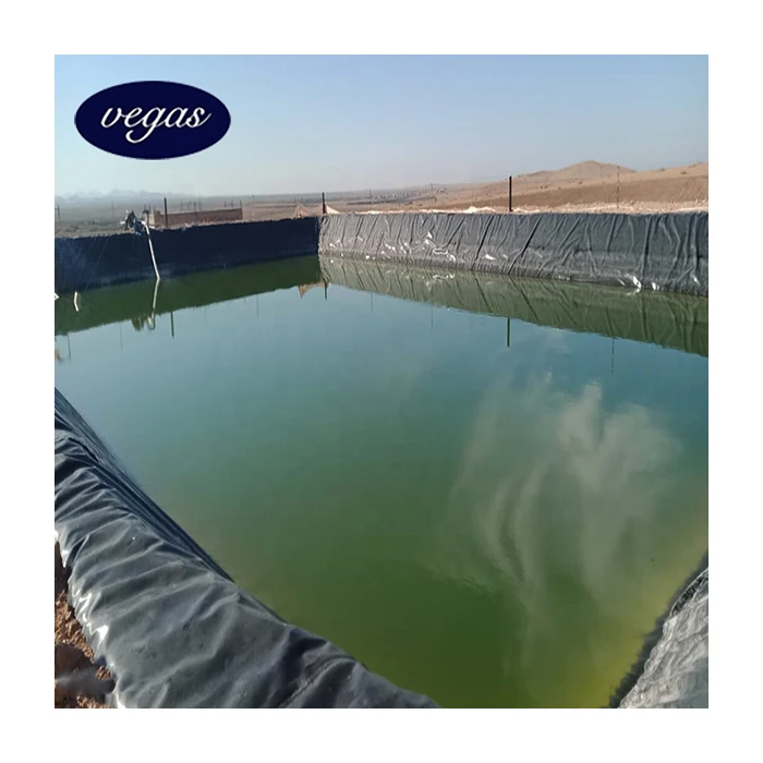 Высокая механическая прочность HDPE лист геомембраны для искусственного озера