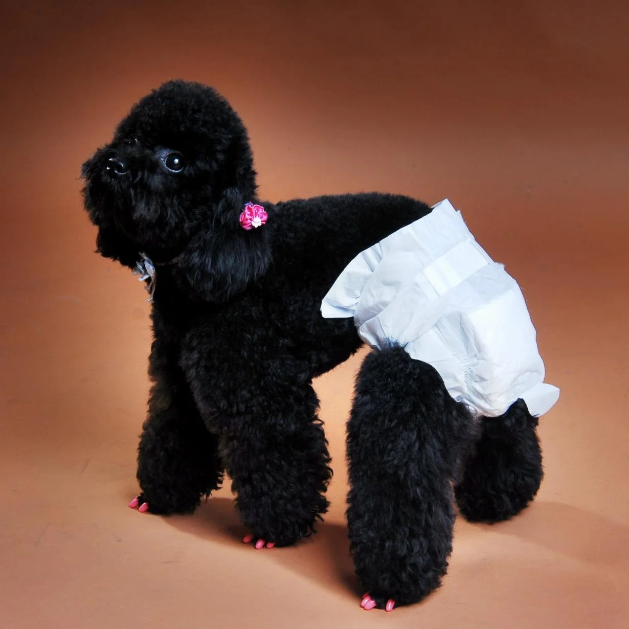 Одноразовые подгузники для собак