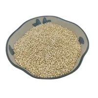 
Zhangjiakou Wholesale New Crop Quinoa White Quinoa Quinoa Grains for Export 