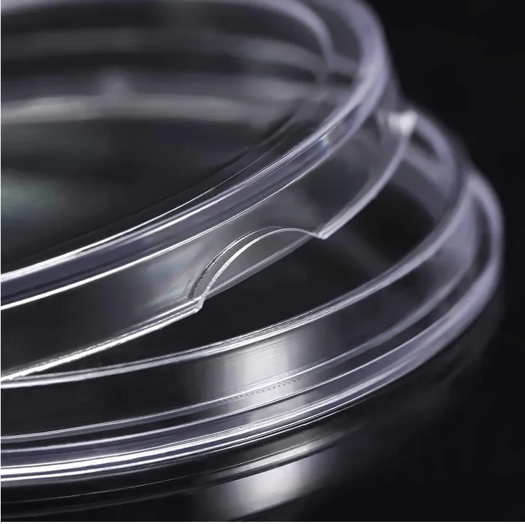 20mm 22mm 23mm 24mm 25mm  Acrylic Round Coin Capsule Holder