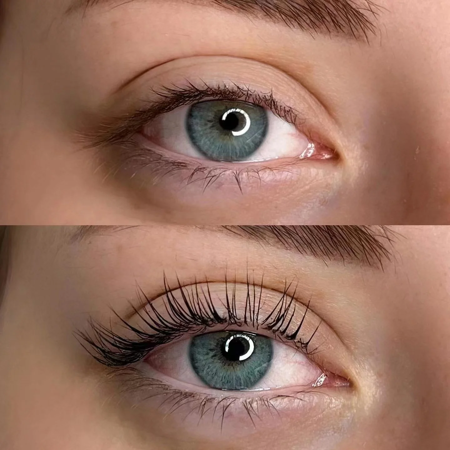 6-8 Weeks Long Lasting High Quality Long Lasting Lash Perming Vegan Private Label Brow Lamination Kit