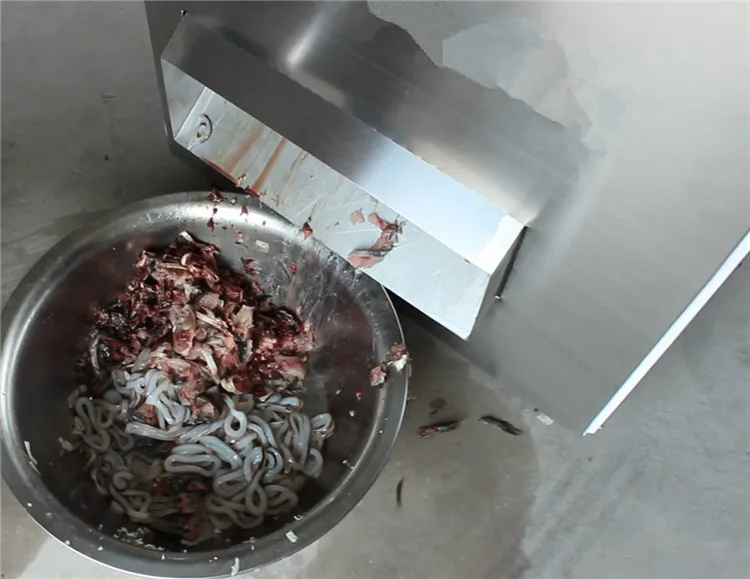 300kg/h Automatic Squid Roll Cutting Machine