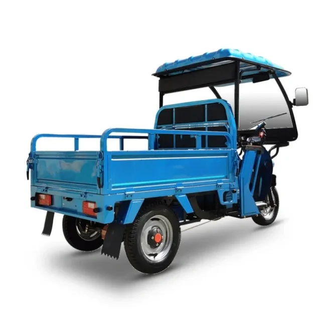 Новый тип Электрический грузовой трехколесный велосипед 60V1000W дисковые тормоза электрические трициклы популярные в Турции