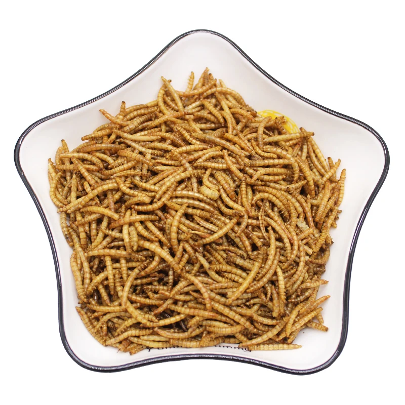 Pet Food Raw Material Bird Food Dried Mealworms in Bulk for Fish Bird Hamster
