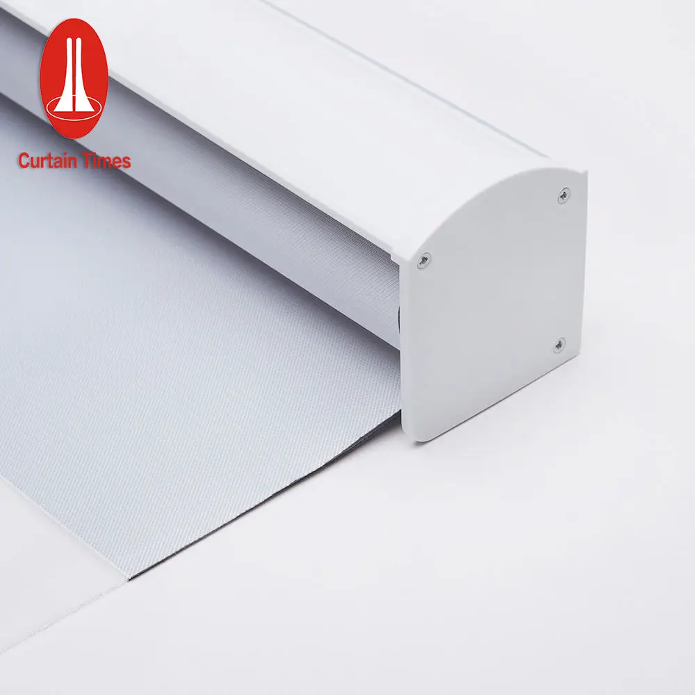 Wireless Oriel Window Lithium Battery Google App Tuya Smart Daylight Motorized Roller Blinds For Home Made In China