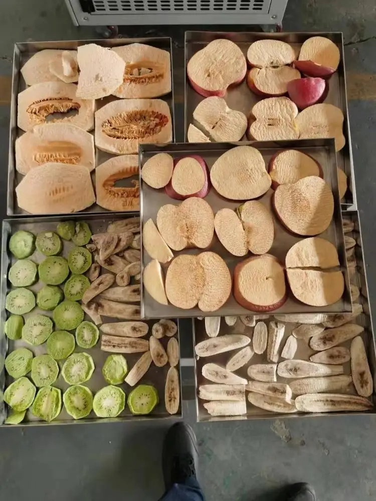 home freeze dryer for fruit and vegetable freeze dry fruit at home LG-06 household kitchen freeze dryer