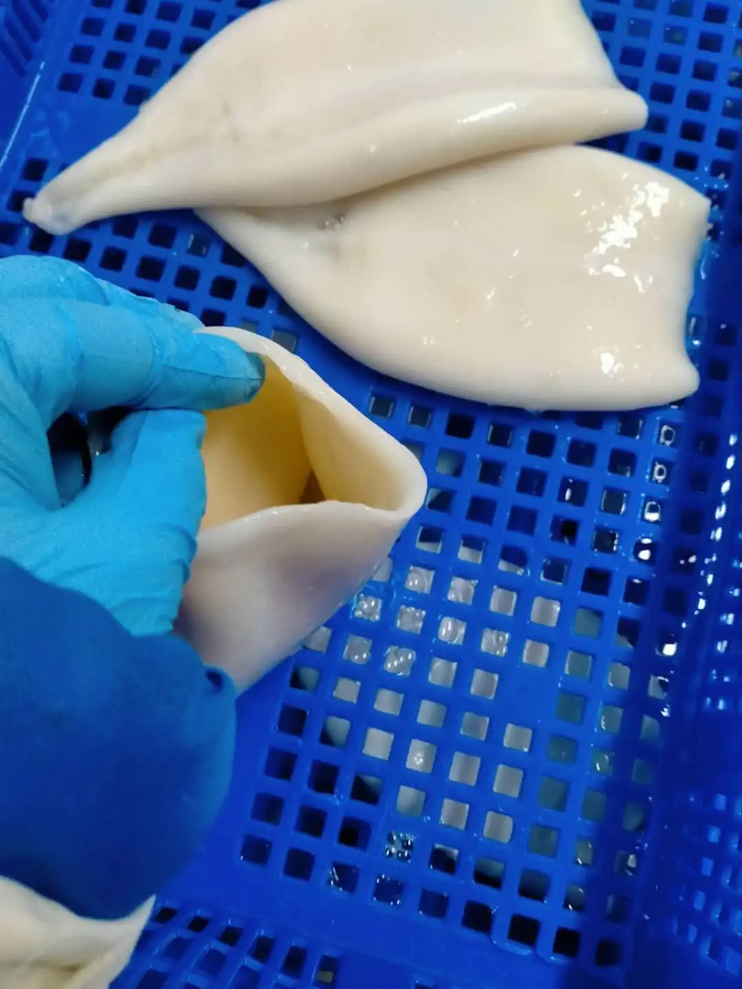 IQF Frozen Squid Tube U3 Frozen Peru Squid for Indonesia Market