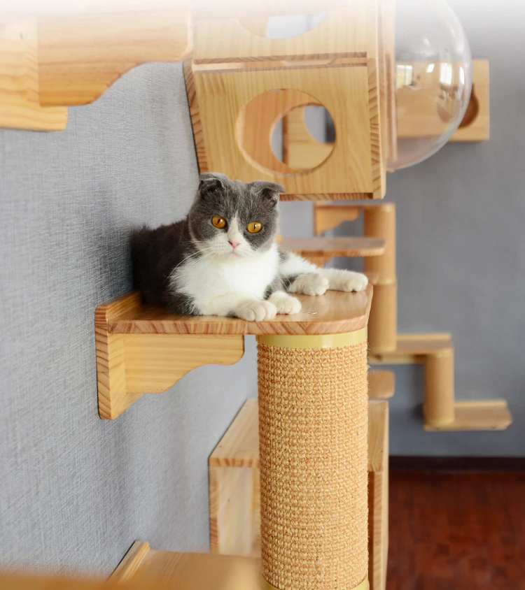 
amazon luxurious wood cat tree house natural furniture make cat tree wholesale wall mounted cat hut 